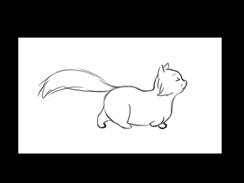 Cat walk cycle