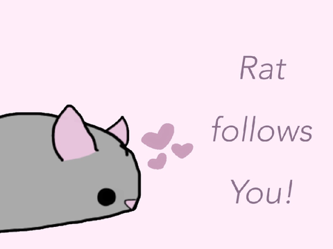 Rat follows you!