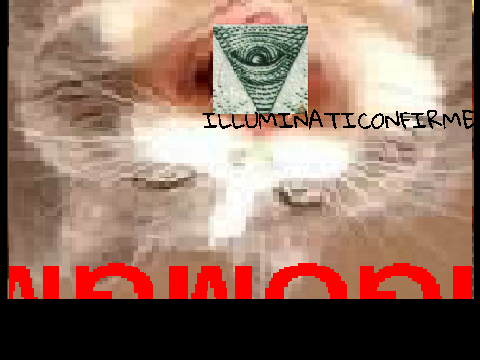 Super Hillarious cat  - Illuminati confirmed XD