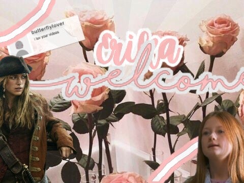  ʕ◦•ᴥᵕʔっ━✩◦.･⋆ Welcome