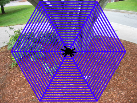 my spider