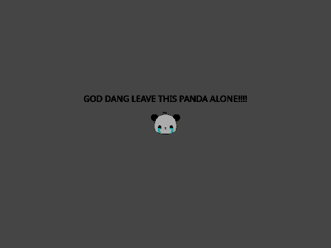 Panda Edition