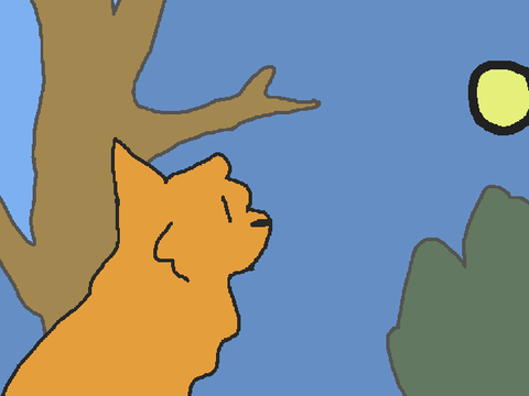 Ducking Cat