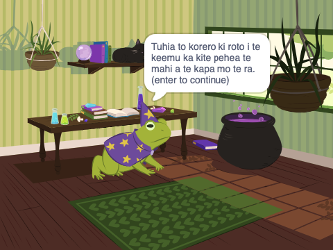Professional Translator
