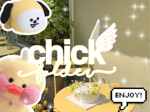 c h i c k    f o l d e r ~