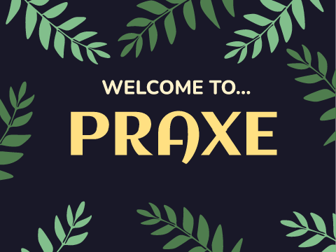 Banner Wars Round 2 [Banner 4 Praxe]