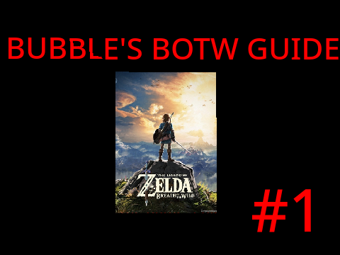 Bubble's BOTW Guide: #1