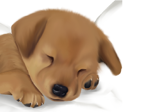 -=^ Rendered Art Pog ^=-