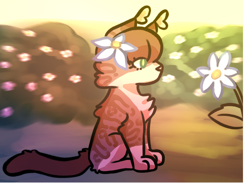 Sunflower ✿ CCE