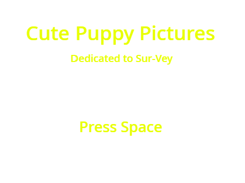 Cute Puppy Pictures for Sur-Vey