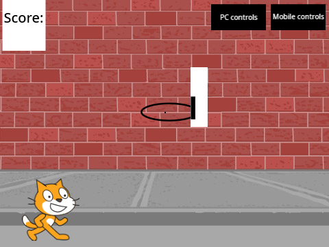 Cat Basketball
