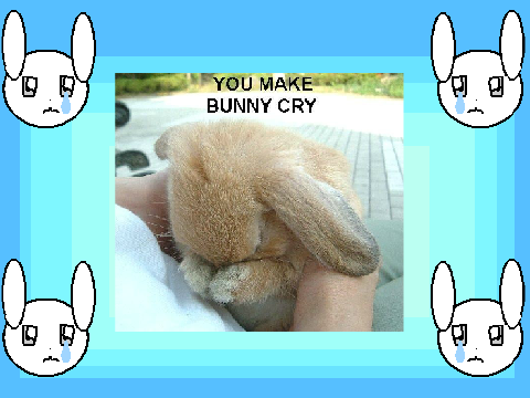 A note to all bunny haters