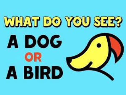 Dog or bird? remix