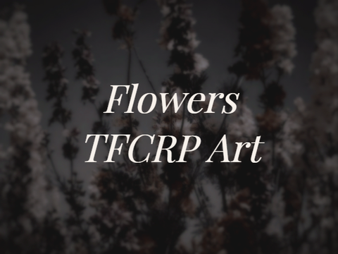 ➶ -͙˚ ❀ | flowers . tfcrp