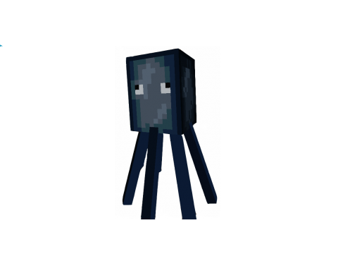 Squid