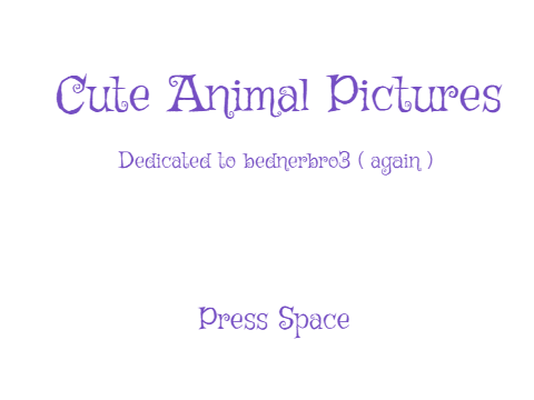 Cute Animal Pictures for bednerbro3 part 3