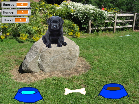 My Pet Dog
