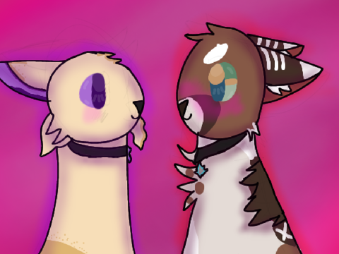 SHIPPPP