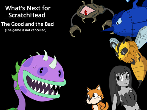 What's Next for ScratchHead (Important)