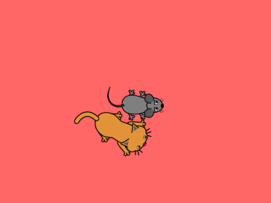 CAT CATCH MOUSE