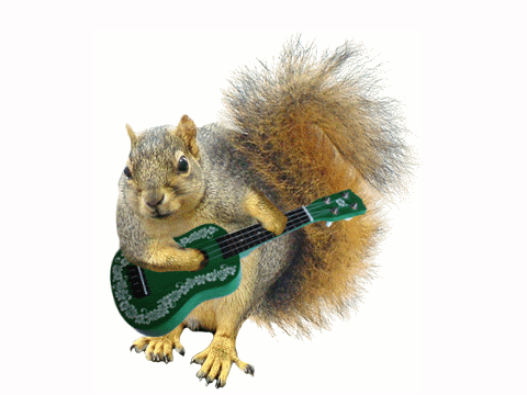 Loopy Squirrel remix