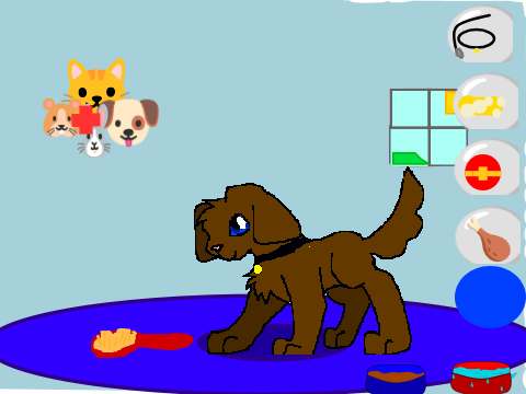 dog care kiri tiger