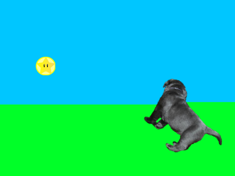 Dog Simulator: Coin Remix 