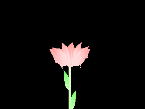 animation test - 5