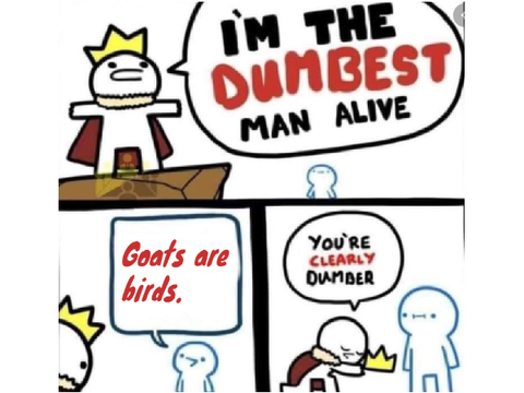 The Dumbest Man Alive