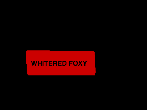 fnaf foxy jumpscare