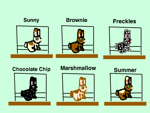 bunny breeding