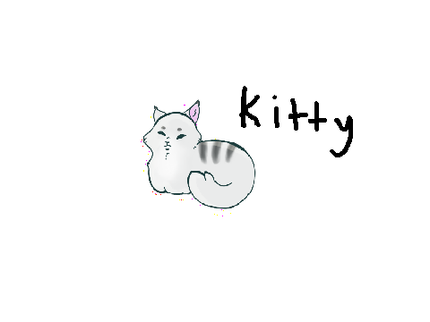 kitty kitty