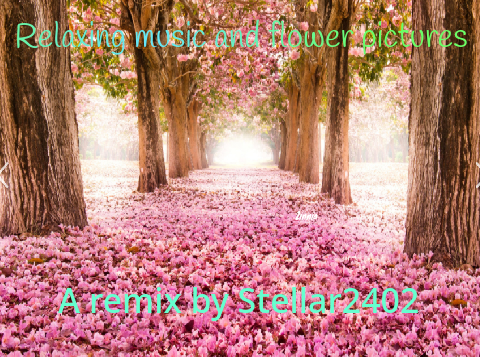 Blossoms of Nature: Relaxing music with flower scenes remix