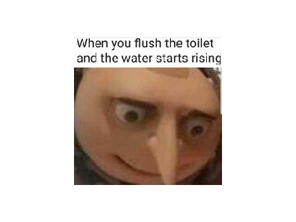 meme 4