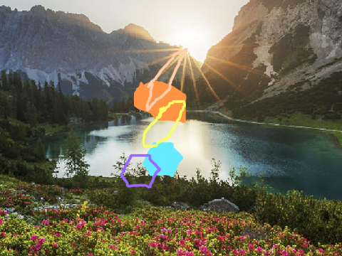 Shapes in the wild