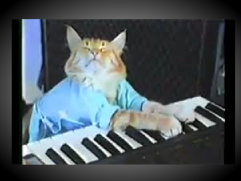 Keyboard cat sorta