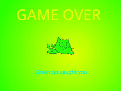 Cat Chase