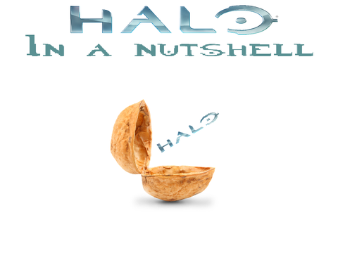 Halo multiplayer in a nutshell FOR REAL