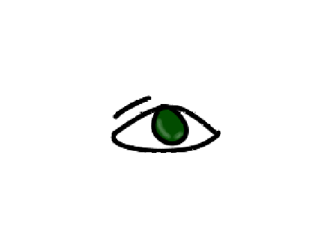 Eye