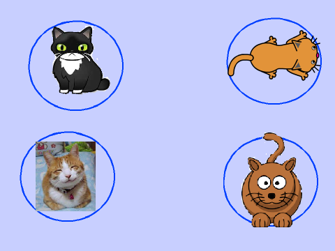  Crazy cats