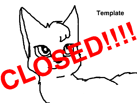 Cat Character CC *Closed*