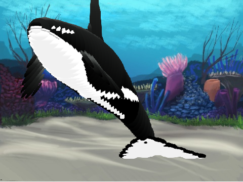 Orca