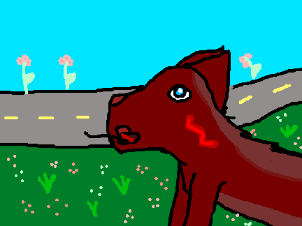 Drawing