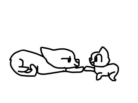 when a grumpy cat meets an enthusiastic kitten 