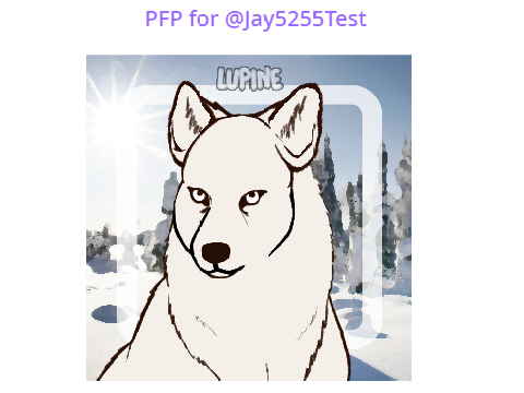 Wolf PFP - @honey95 