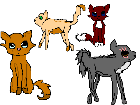 Cat Drawings