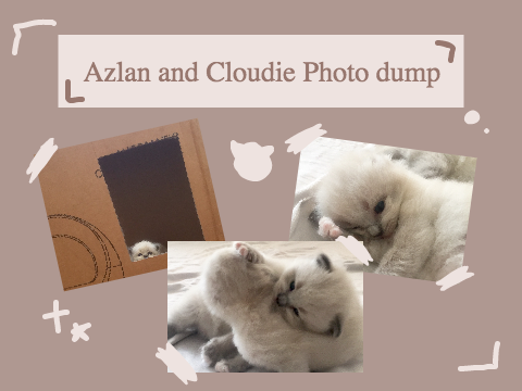 Cloudie and Azlan photo dump