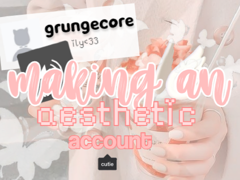 a e s t h e t i c   a c c o u n t 