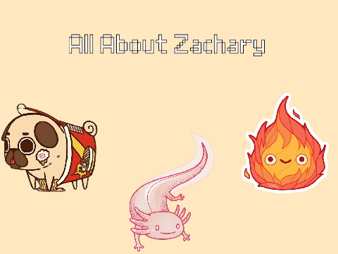 All About Zachary