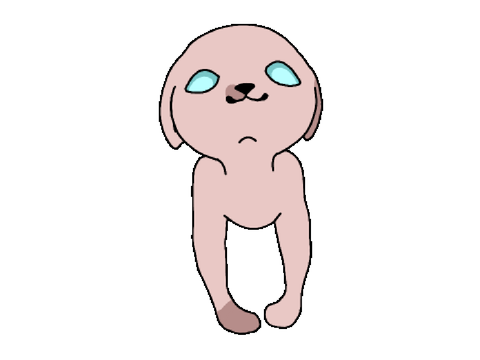 Animation test